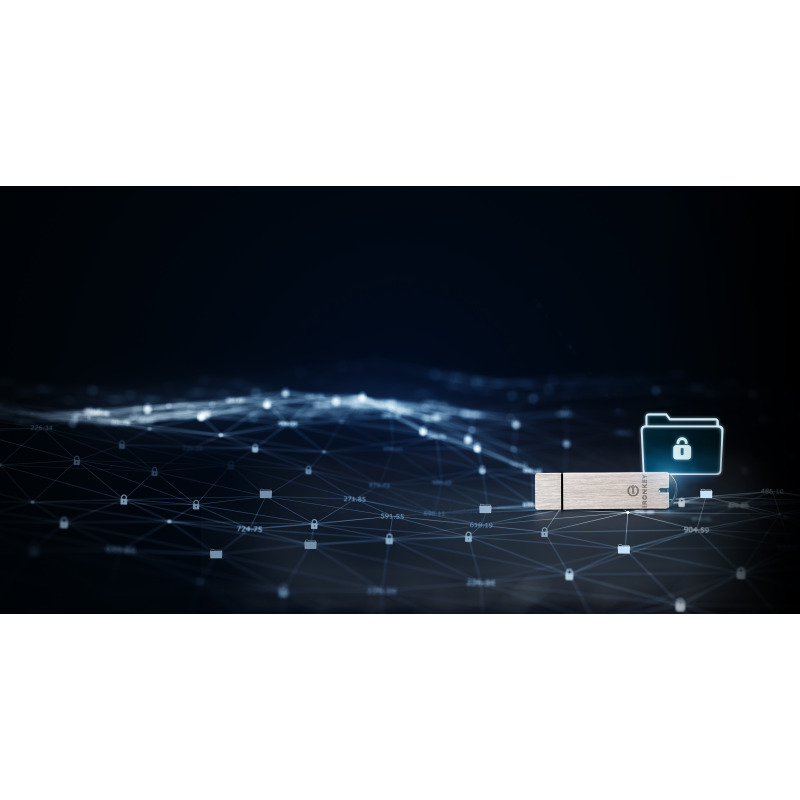 Kingston Technology IronKey S1000 unidad flash USB 128 GB USB tipo A 3.2 Gen 1 (3.1 Gen 1) Plata image 13