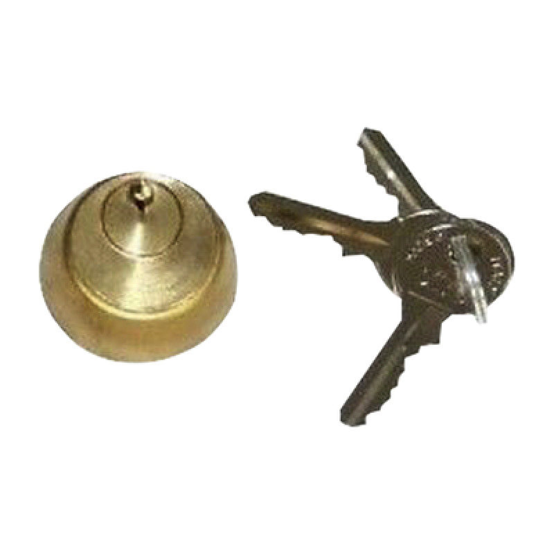 CILINDRO INTERNO PARA ELECTROCHAPA NO 3 FAAC 712650