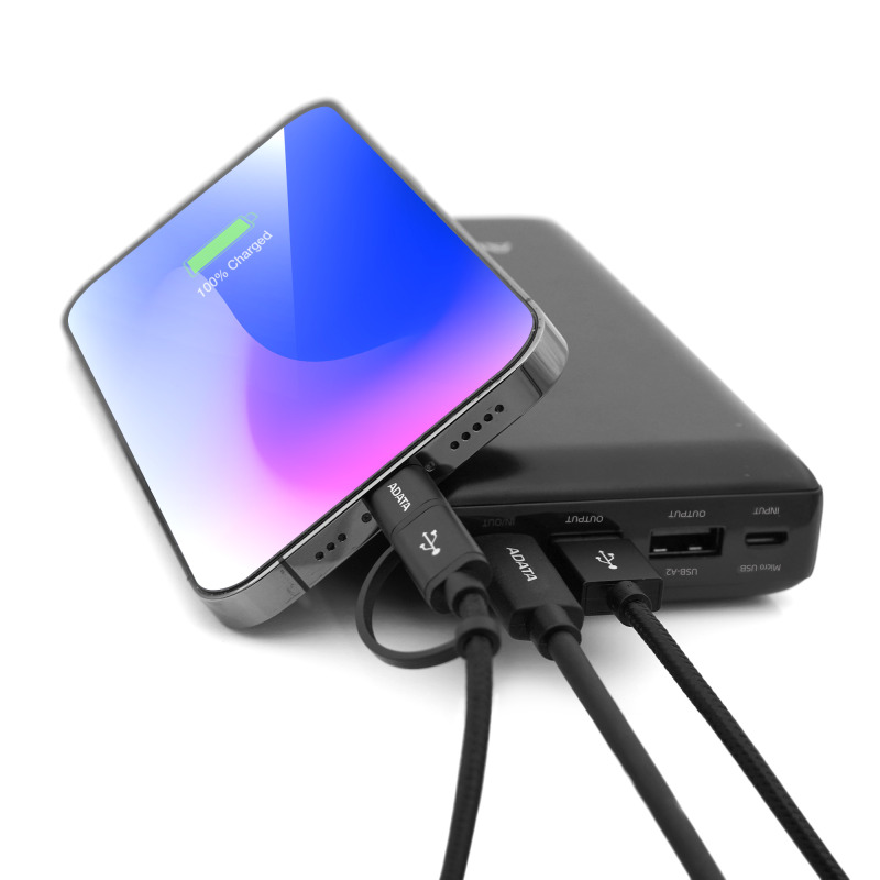 Cargador ADATA Power Bank C20 negro 20000MAH PBC20-BK image 9