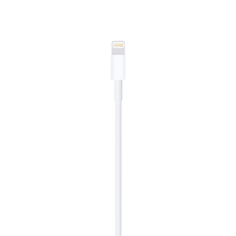 CABLE LIGHTNING A USB (1 M) image 4