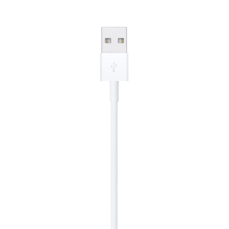 CABLE LIGHTNING A USB (1 M) image 5