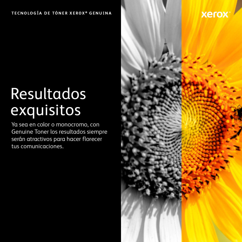 TONER XEROX MAGENTA 106R03747, ALTA CAPACIDAD 11.8K, PARA VERSALINK C7020/7025/7030 image 8