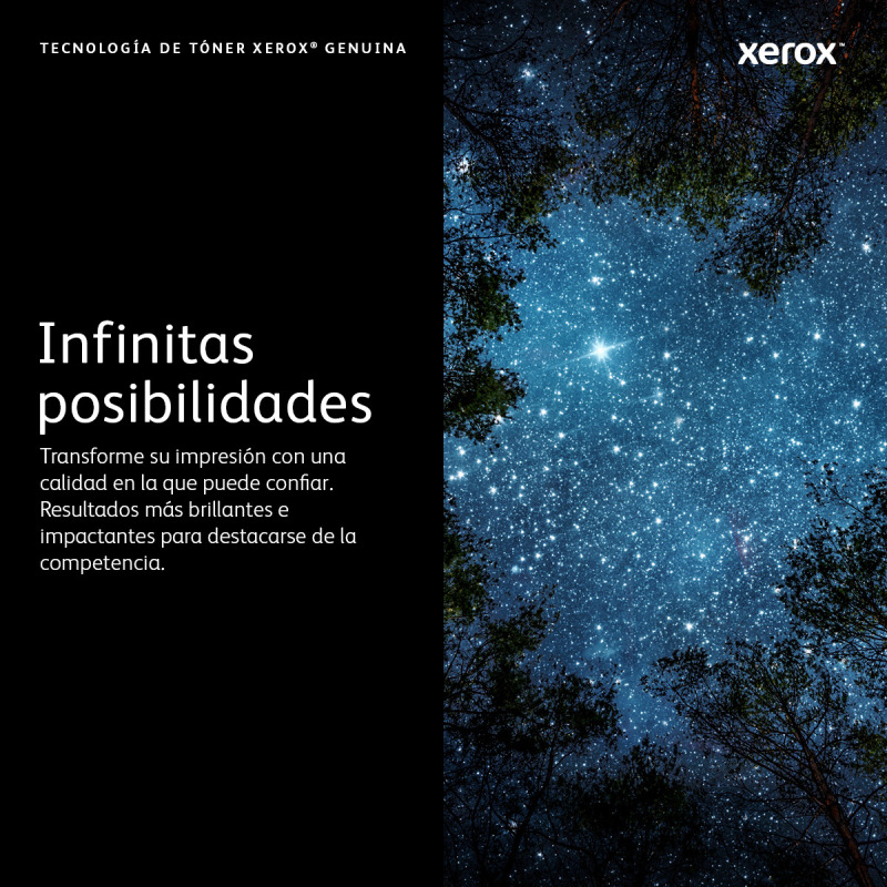 Xerox 6R1561 cartucho de tóner 1 pieza(s) Original Negro image 3