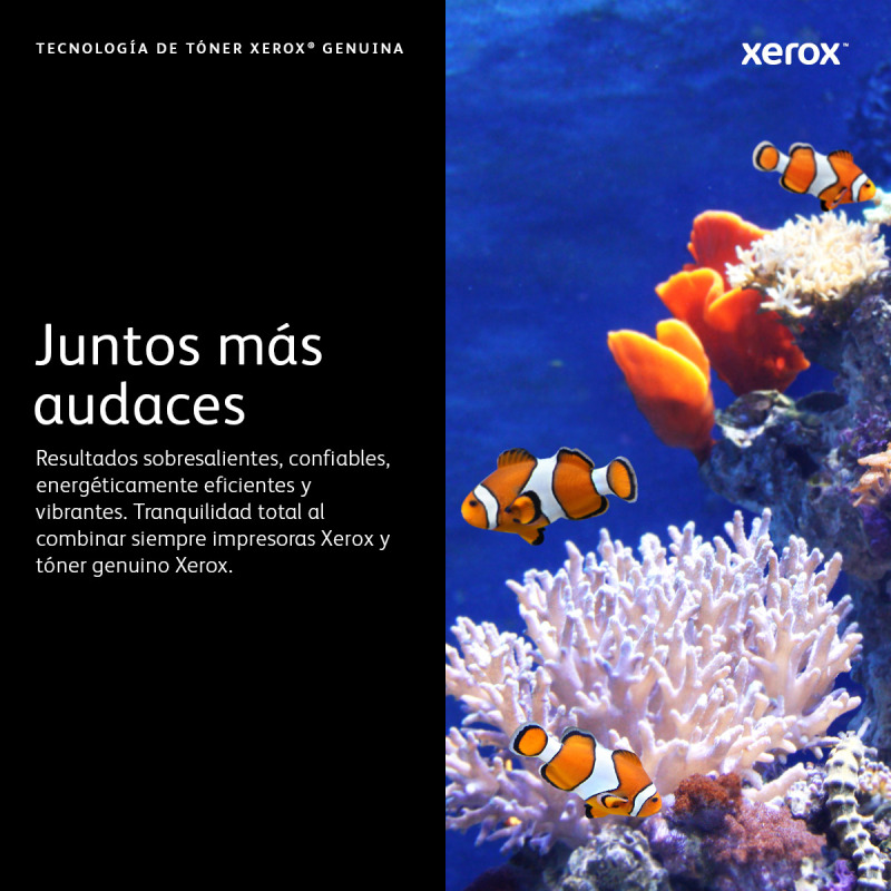 TONER XEROX NEGRO 106R04349, EXTRA ALTA CAPACIDAD 6K, PARA B210/B205/B215 image 12