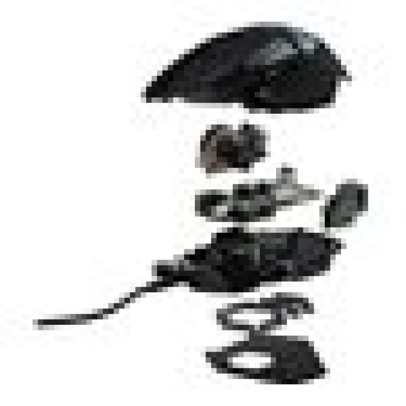 MOUSE GAMING LOGITECH G502 HERO NEGRO ALAMBRICO USB LIGHTSYNC RGB 16K DPIS image 12