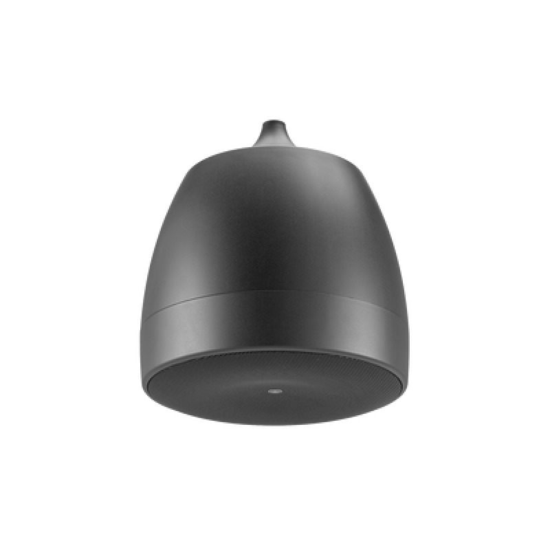 Altavoz Colgante Comercial | 65 in | 2 Vias 300w | 8 Ohms | 70v/100v | Negro