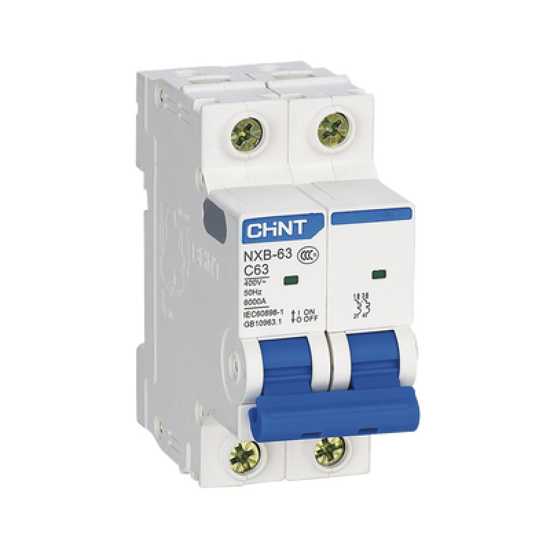 Pastilla para Riel Din 2 Polos 20 Amp Vca110/415v 6kA Catálogo NXB632PC20 Serie NXB63