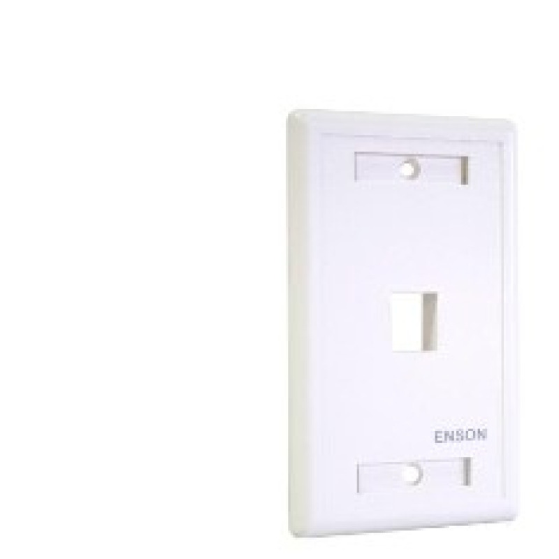 Enson ENS-FP61 placa de pared o cubierta de interruptor Blanco