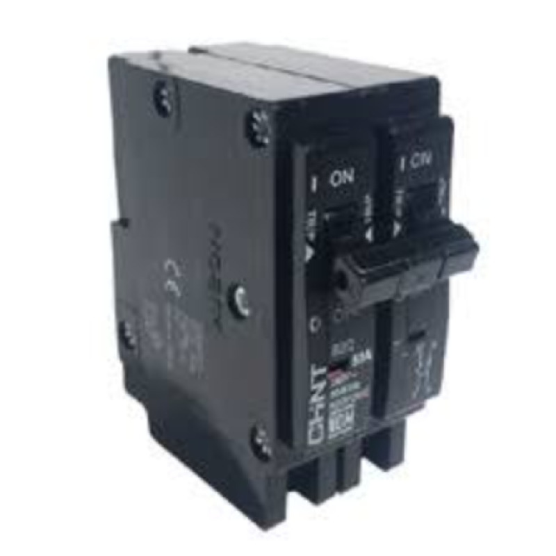 Interruptor Termomagnético Enchufable Serie B2Q 2P 60A 240V  SKU1002286