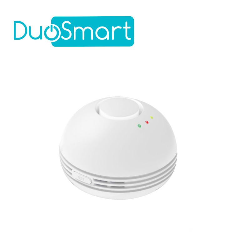 DuoSmart CGD1 detector de gas Metano, Gas natural