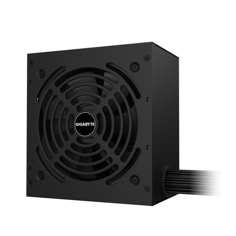 Gigabyte GP-P650G unidad de fuente de alimentación 650 W 20+4 pin ATX ATX Negro image 2
