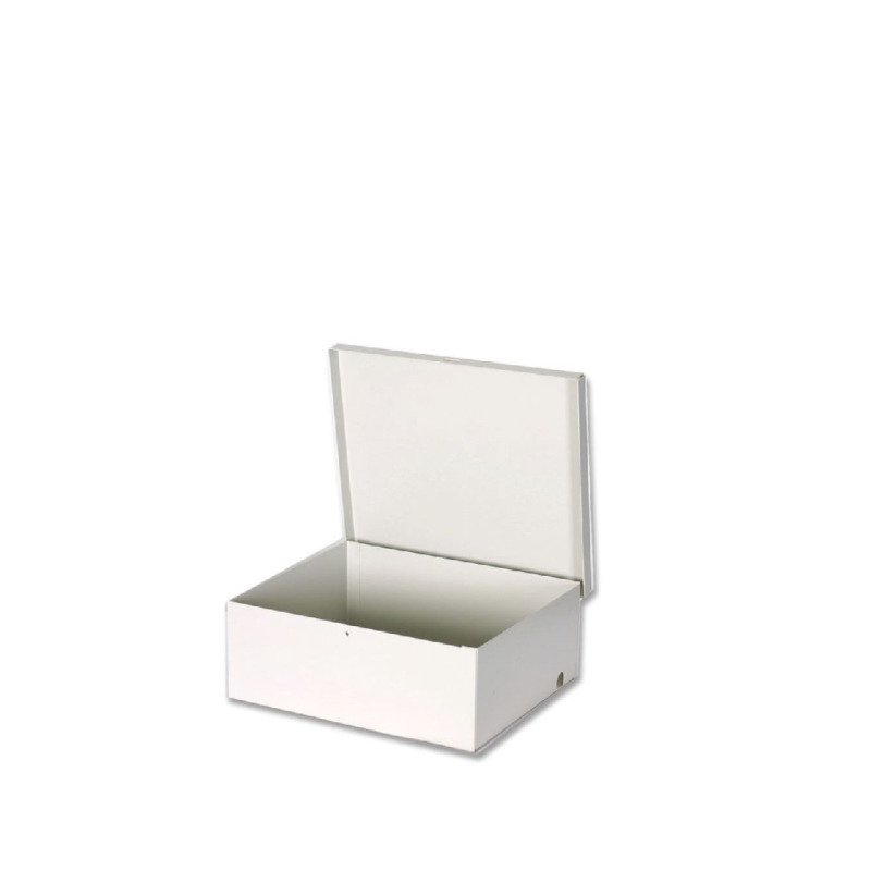 AV TT004 -  Gabinete Metálico para Modulos DSC SECO LARM BEIGE Lamina  de Alta Calidad image 2