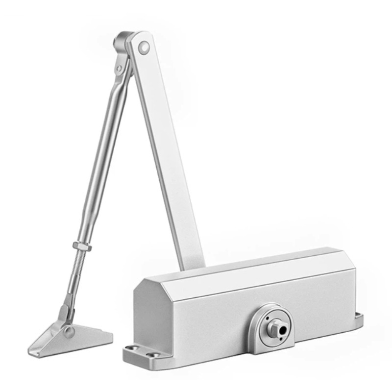 VIANS VI-S101 muelle para puertas Universal Cierre de puerta montado sobre la superficie (brazo normal) Cierre automático Plata