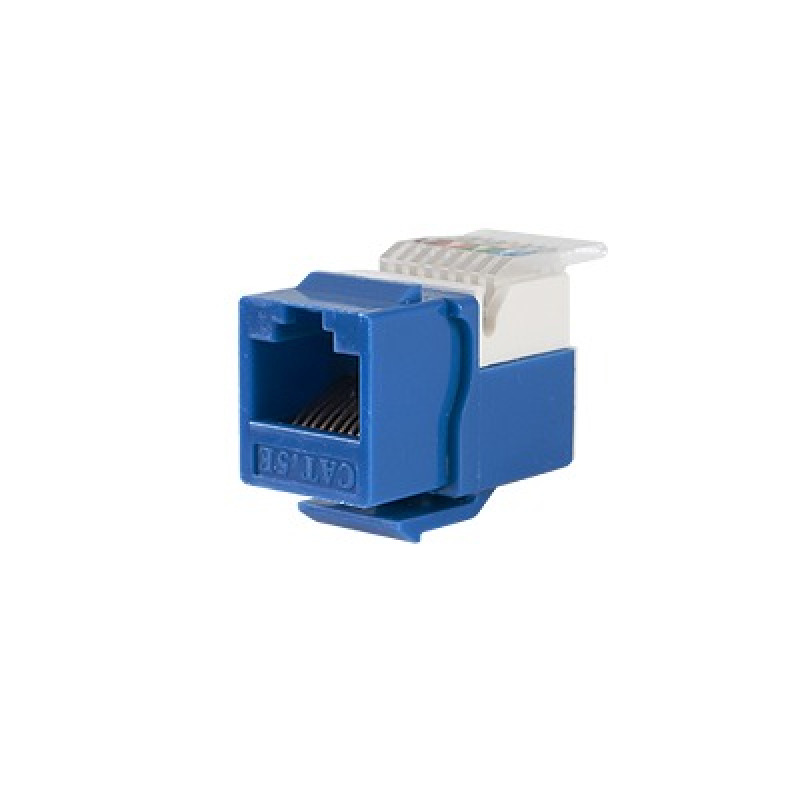 Módulo Jack Keystone Cat5e sin Herramienta toolless para faceplate  Color Azul