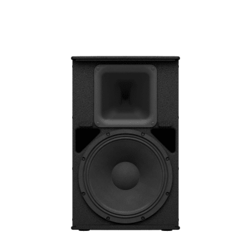 Altavoz Pasivo de 2 vias | Woofer 12039039 | 8ohms | Color Negro | 500W | Gabinete de Madera