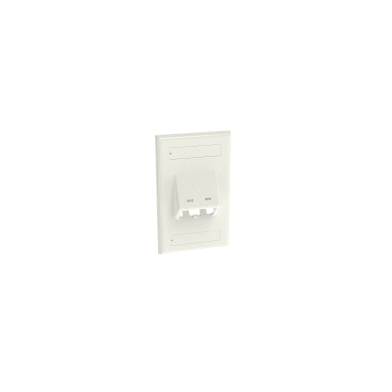 Placa de Pared Vertical Clásica Salida Para 2 Puertos MiniCom Inclinados Con Espacios Para Etiquetas Color Blanco